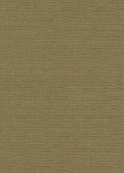 10262-24.jpg