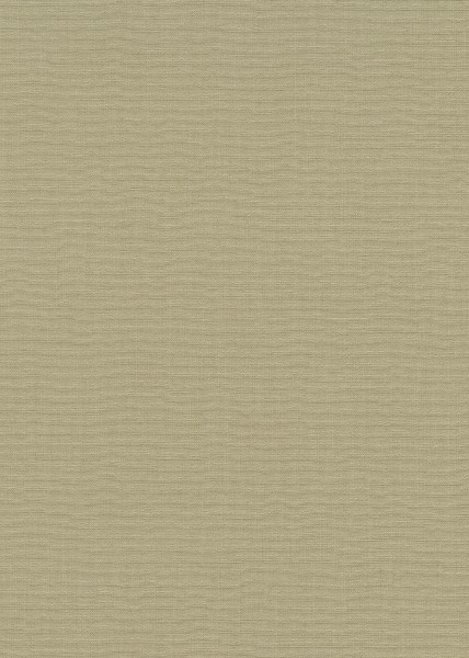 10262-36.jpg