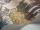 versaillesgrand_Image_WaveImage_Item_99-16065.webp