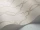 parterre_Image_WaveImage_Item_99-42009.webp