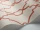parterre_Image_WaveImage_Item_99-42011.webp