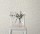 10462-02_room02_opus.jpg