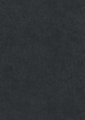 10418-15_scan_playoflight.jpg