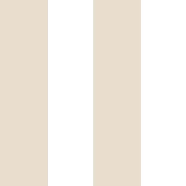 15562.jpg