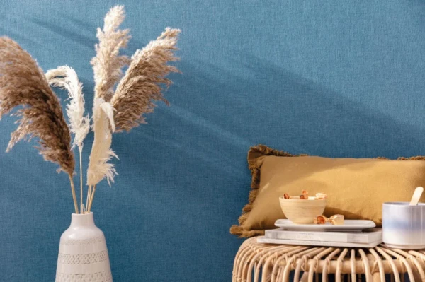 lne-bleu-jean-103226160.webp
