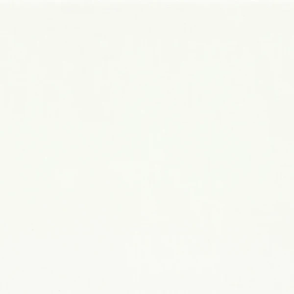 2828.webp