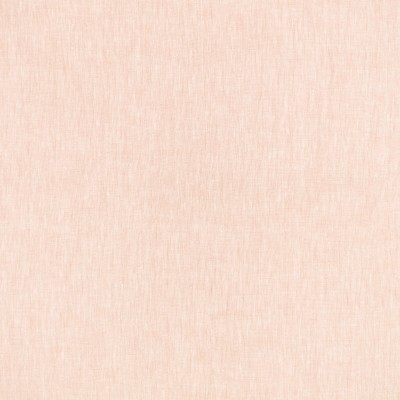 Asolo Wild Rose