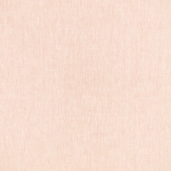 Asolo Wild Rose