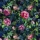 147056.webp