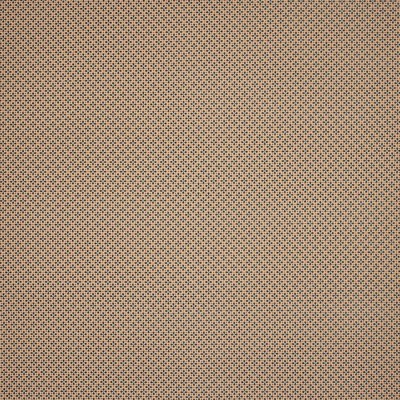 Tkanina Alberta by Colefax and Fowler F4937