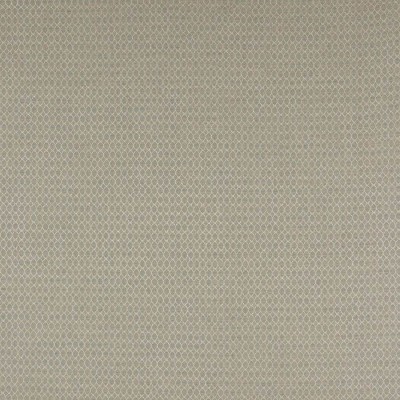 Tkanina Arlette by Colefax and Fowler F4769