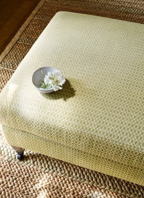 Tkanina Arlette by Colefax and Fowler F4769