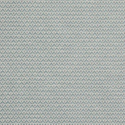 Tkanina Carlotta by Colefax and Fowler F4788