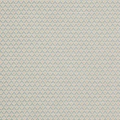 Tkanina Carlotta by Colefax and Fowler F4788