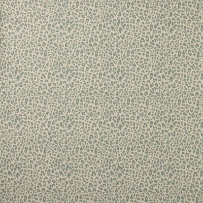 Tkanina Chester by Colefax and Fowler F4854