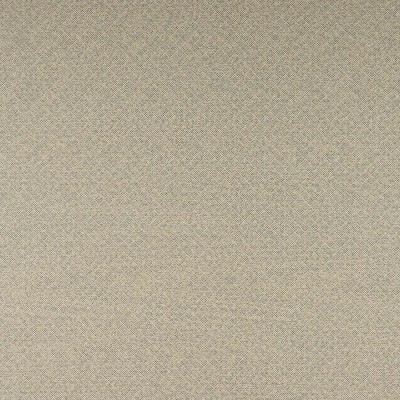 Tkanina Clancey by Colefax and Fowler F4863