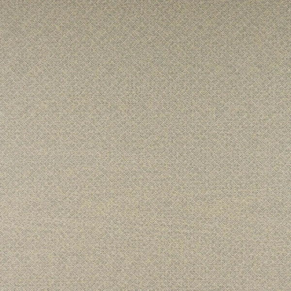 Tkanina Clancey by Colefax and Fowler F4863