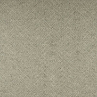 Tkanina Clancey by Colefax and Fowler F4863