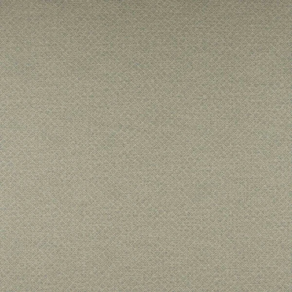Tkanina Clancey by Colefax and Fowler F4863