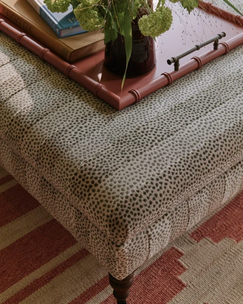 Tkanina Clarence by Colefax and Fowler F4898