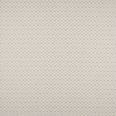 Tkanina Denbury by Colefax and Fowler F4875