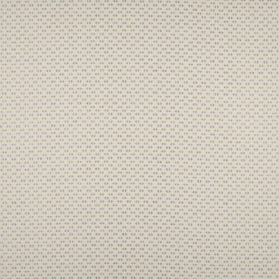 Tkanina Denbury by Colefax and Fowler F4875