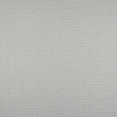 Tkanina Denbury by Colefax and Fowler F4875