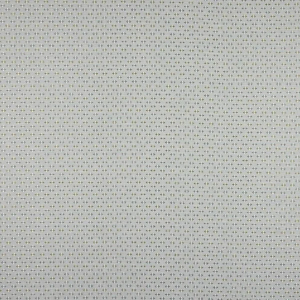 Tkanina Denbury by Colefax and Fowler F4875