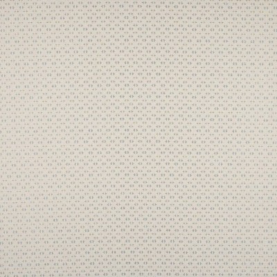 Tkanina Denbury by Colefax and Fowler F4875