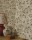 Tkanina Esta by Colefax and Fowler F4664