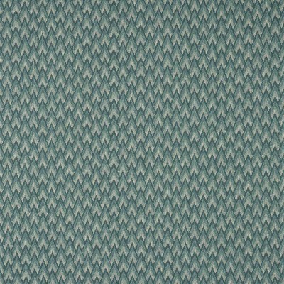 Tkanina Hilaire by Colefax and Fowler F4846