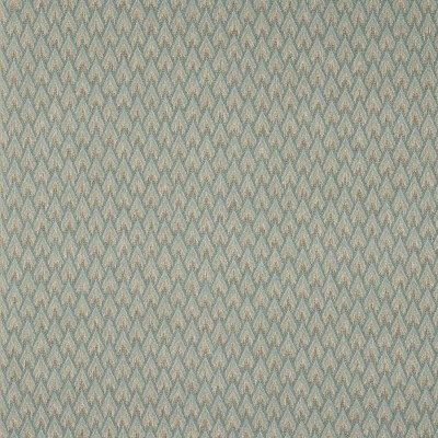 Tkanina Hilaire by Colefax and Fowler F4846
