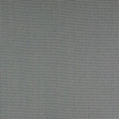 Tkanina Jay Check by Colefax and Fowler F4762