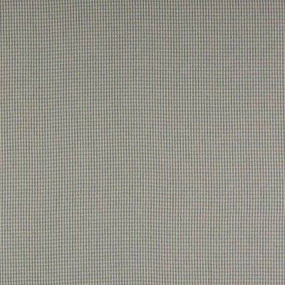 Tkanina Jay Check by Colefax and Fowler F4762