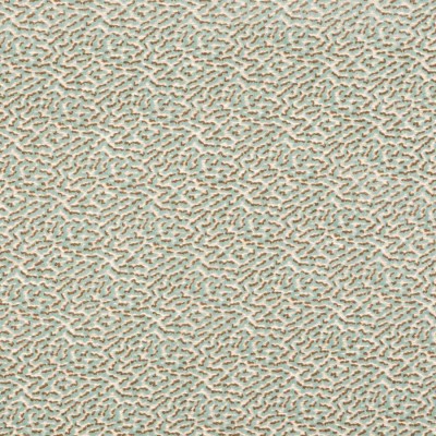 Tkanina Kemble by Colefax and Fowler F4787