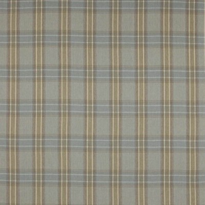 Tkanina Lamorna Check by Colefax and Fowler F4761