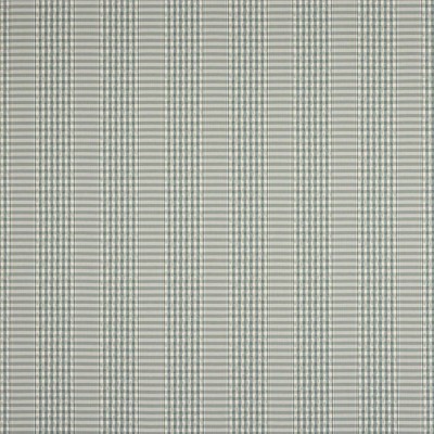 Tkanina Langham Check by Colefax and Fowler F4865