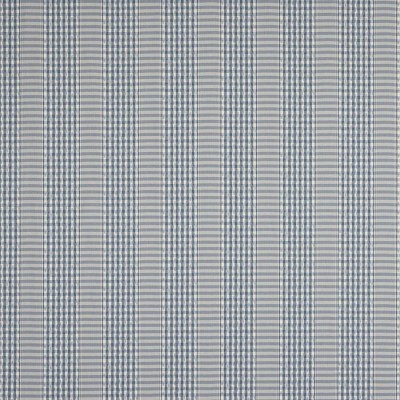 Tkanina Langham Check by Colefax and Fowler F4865
