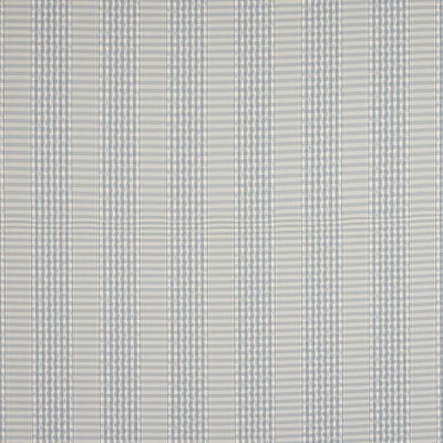 Tkanina Langham Check by Colefax and Fowler F4865