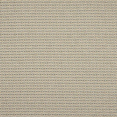 Tkanina Lucena by Colefax and Fowler F4894