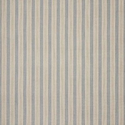 Tkanina Olney Stripe by Colefax and Fowler F4935