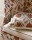 Tkanina Pashley by Colefax and Fowler F4781