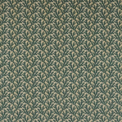 Tkanina Pelham by Colefax and Fowler F4857