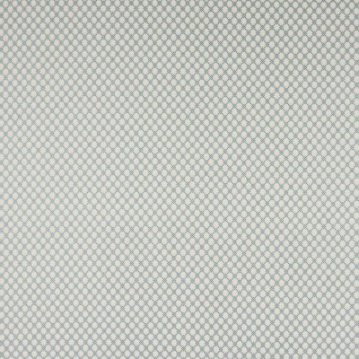 Tkanina Radnor by Colefax and Fowler F4874