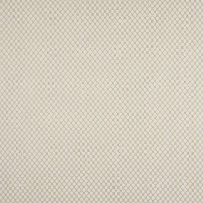 Tkanina Radnor by Colefax and Fowler F4874