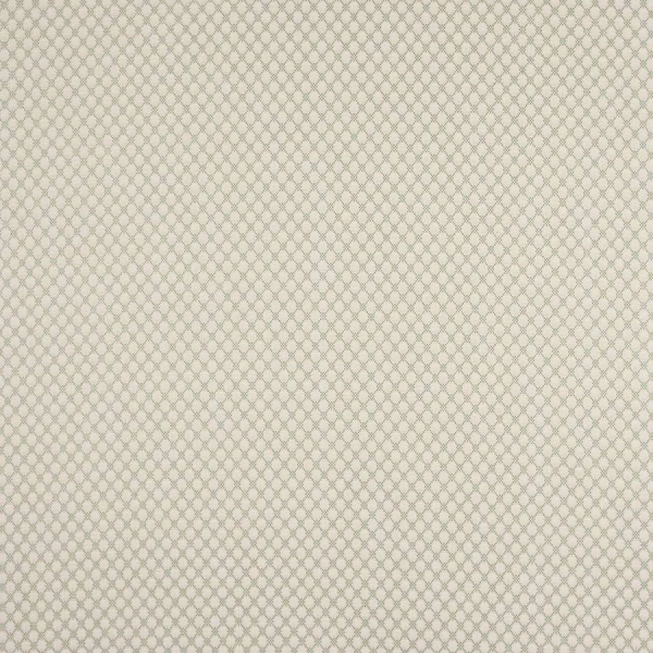 Tkanina Radnor by Colefax and Fowler F4874