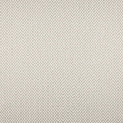 Tkanina Radnor by Colefax and Fowler F4874
