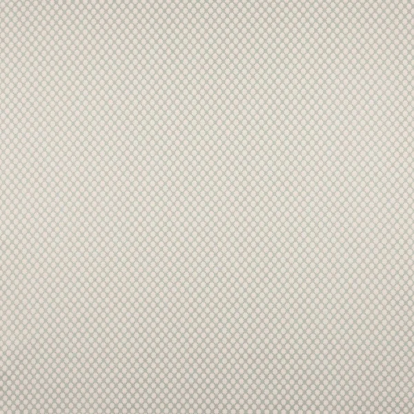 Tkanina Radnor by Colefax and Fowler F4874
