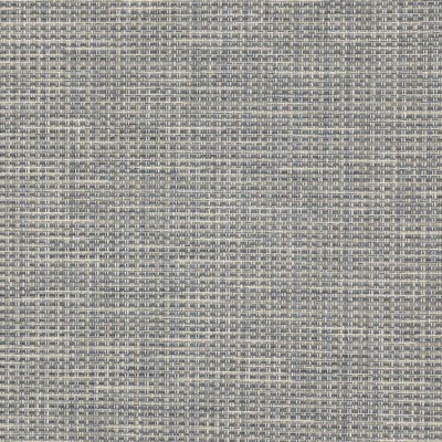 Tkanina Rory by Colefax and Fowler F4639