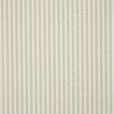Tkanina Thurloe Stripe by Colefax and Fowler F4903